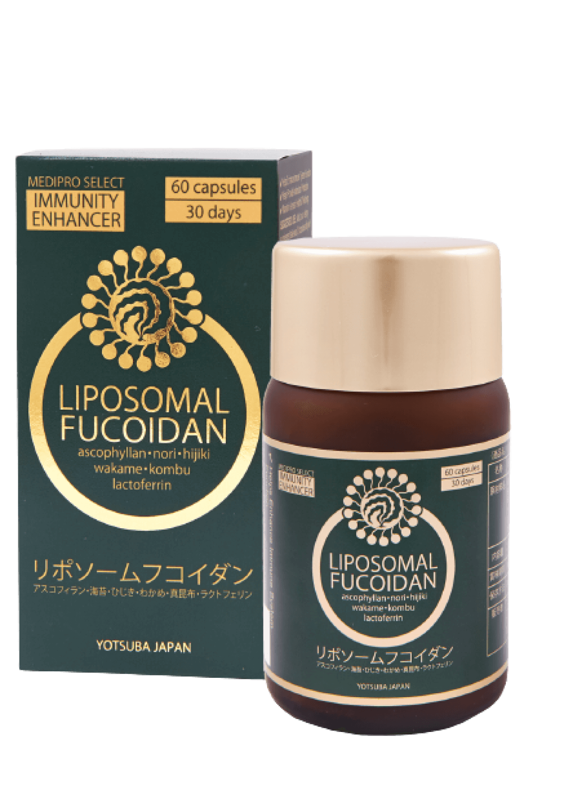 LIPOSOMAL FUCOIDAN Immunity Enhanser